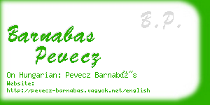 barnabas pevecz business card